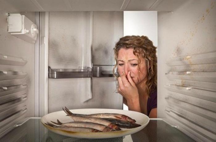 Tủ lạnh không lạnh ngăn mát phải làm sao?